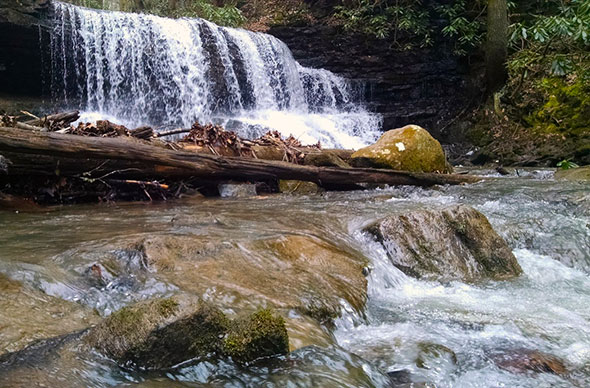 Laurel Hill Park Waterfall